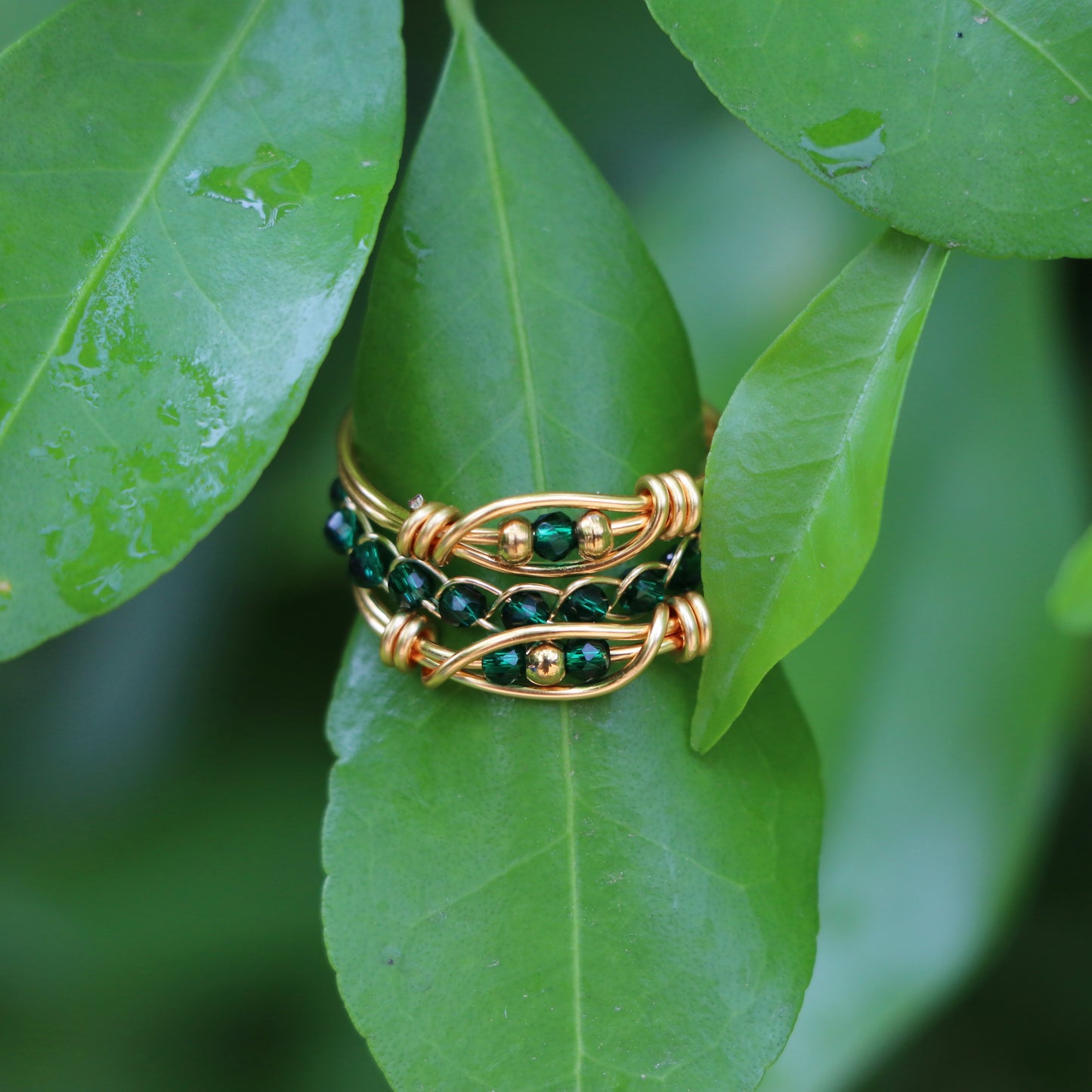 Isla Rings